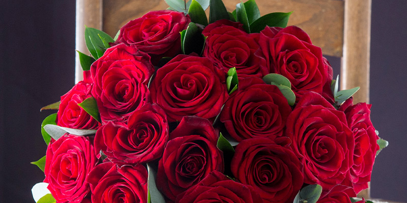 Which Five Flowers Are Considered to Be the Most Romantic?