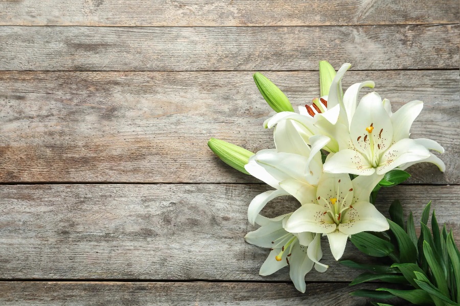 The most popular flowers for funerals and their meanings